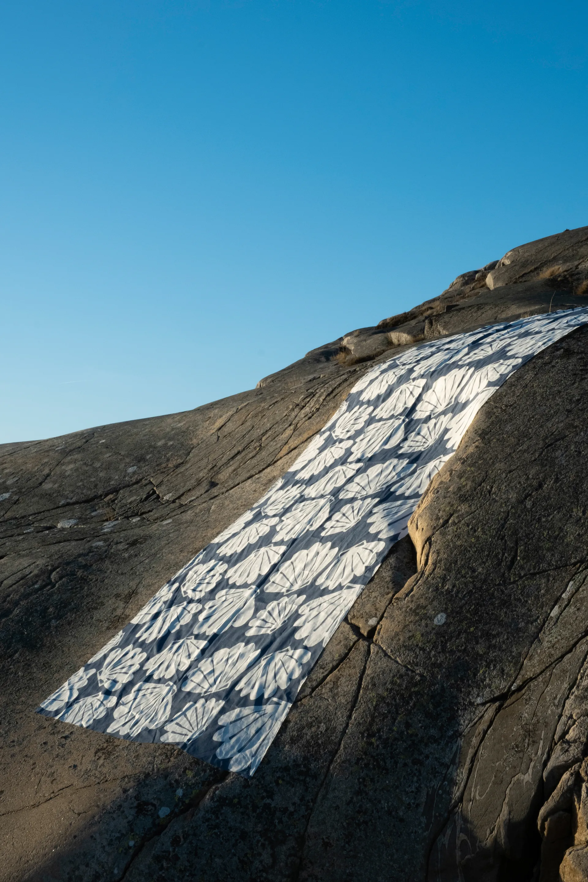 Shell ύφασμα, Μπλε Fine Little Day