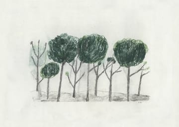 Trees αφίσα 50x70 cm - Μαύρο - υπόλευκο - Fine Little Day