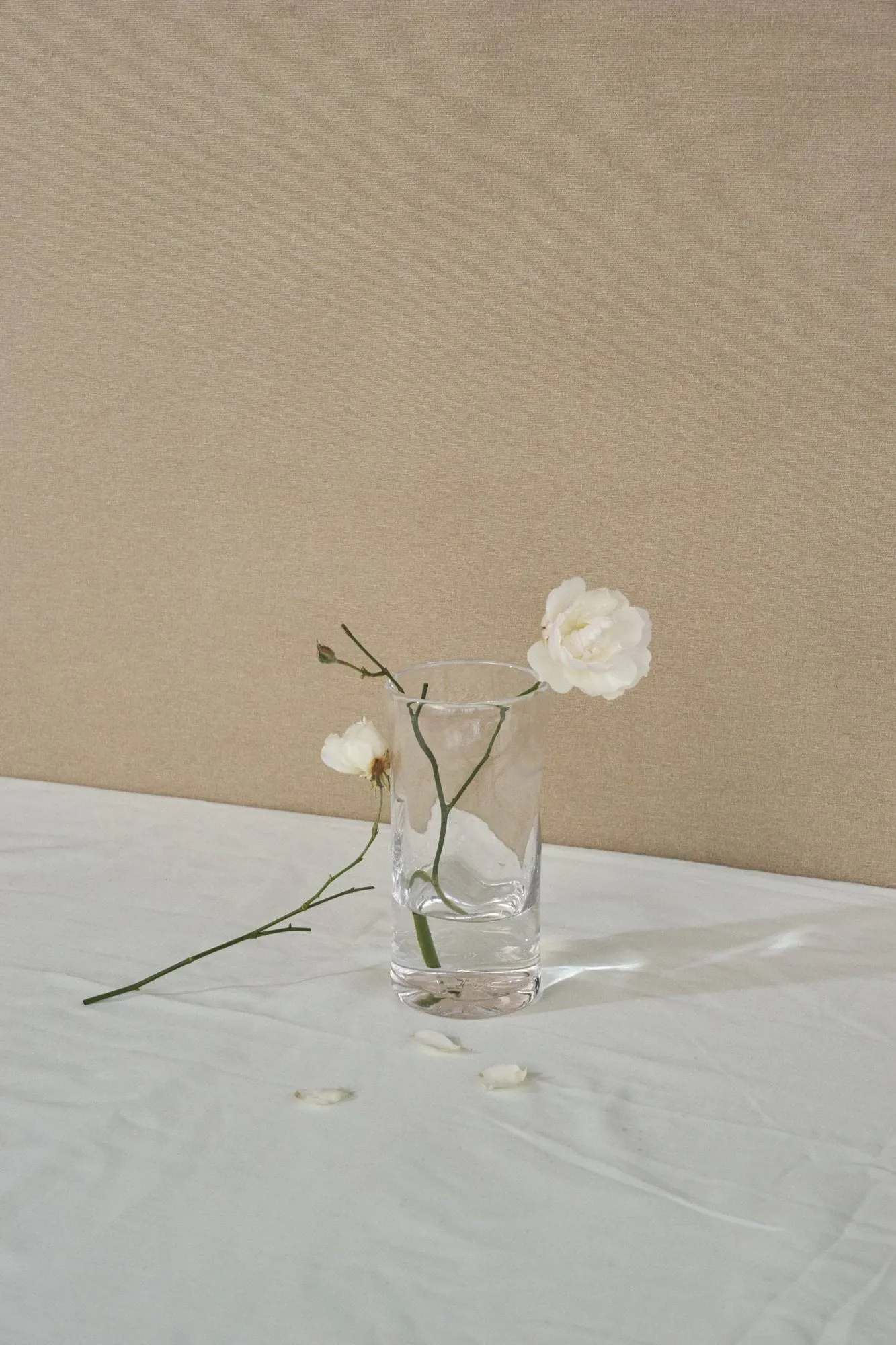 0405 βάζο, Διάφανο, Ø9,5x20 cm FRAMA