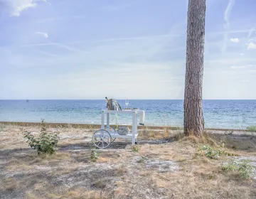 62 τραπέζι - White - Fri Form