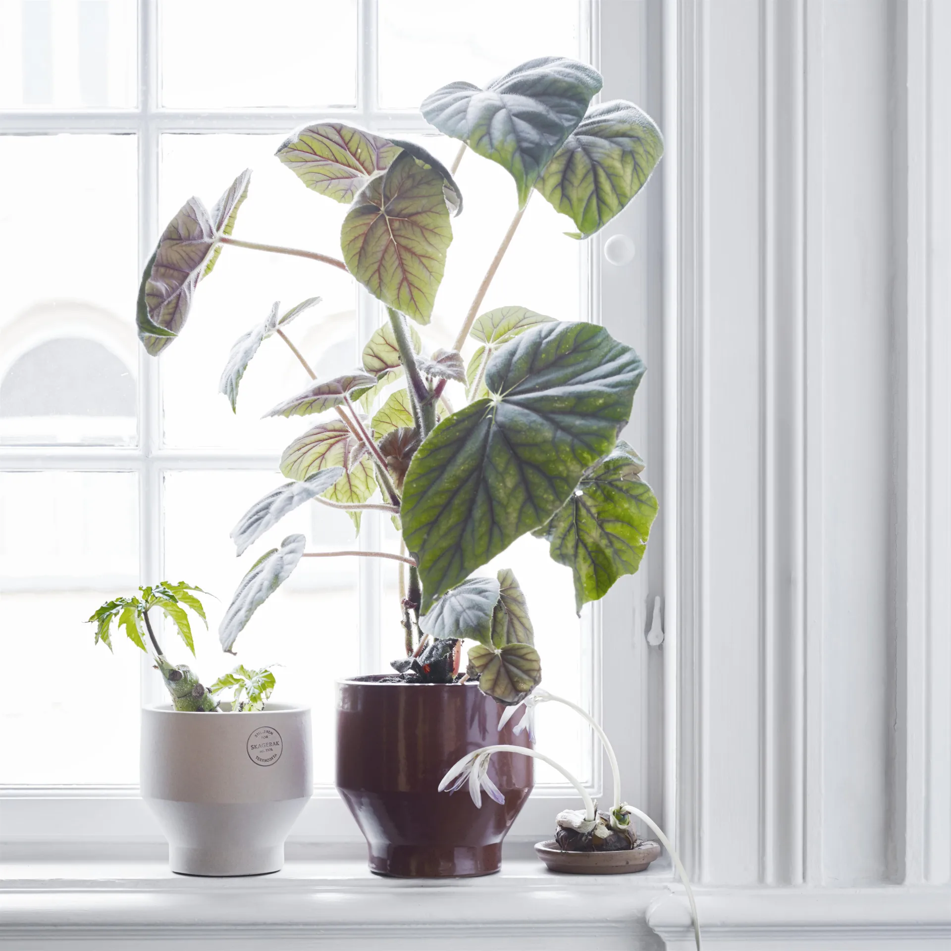 Edge γλάστρα (εσωτερικού χώρου) Ø18 cm, Burned red Fritz Hansen