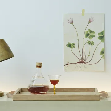 Δίσκος Norr - Δρυς - Fritz Hansen