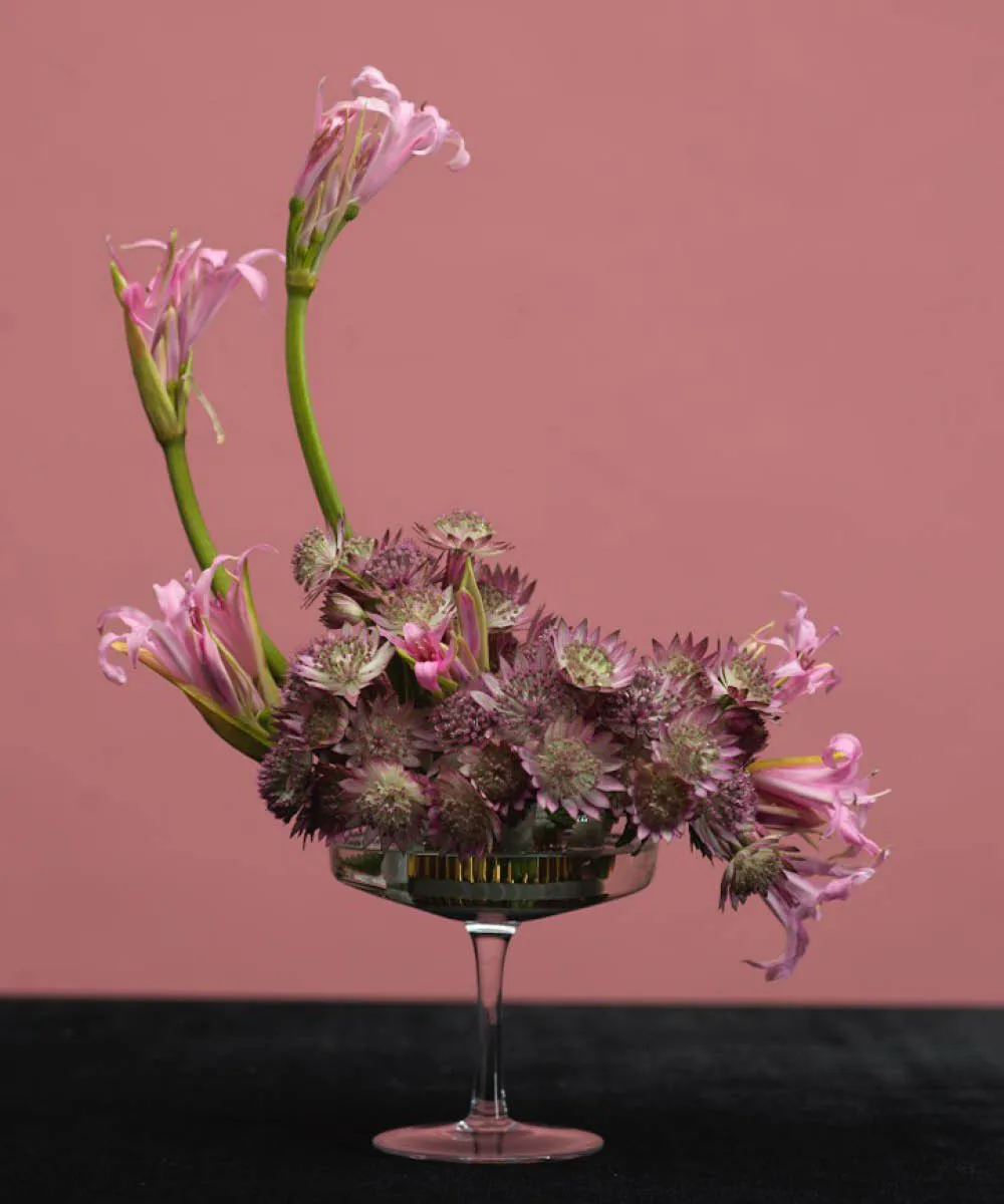 Garden Glory Flower Frogs ανθοφορείο, Small Garden Glory