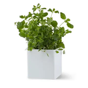 Flex Box μικρό 10,5 cm - λευκό - Gejst