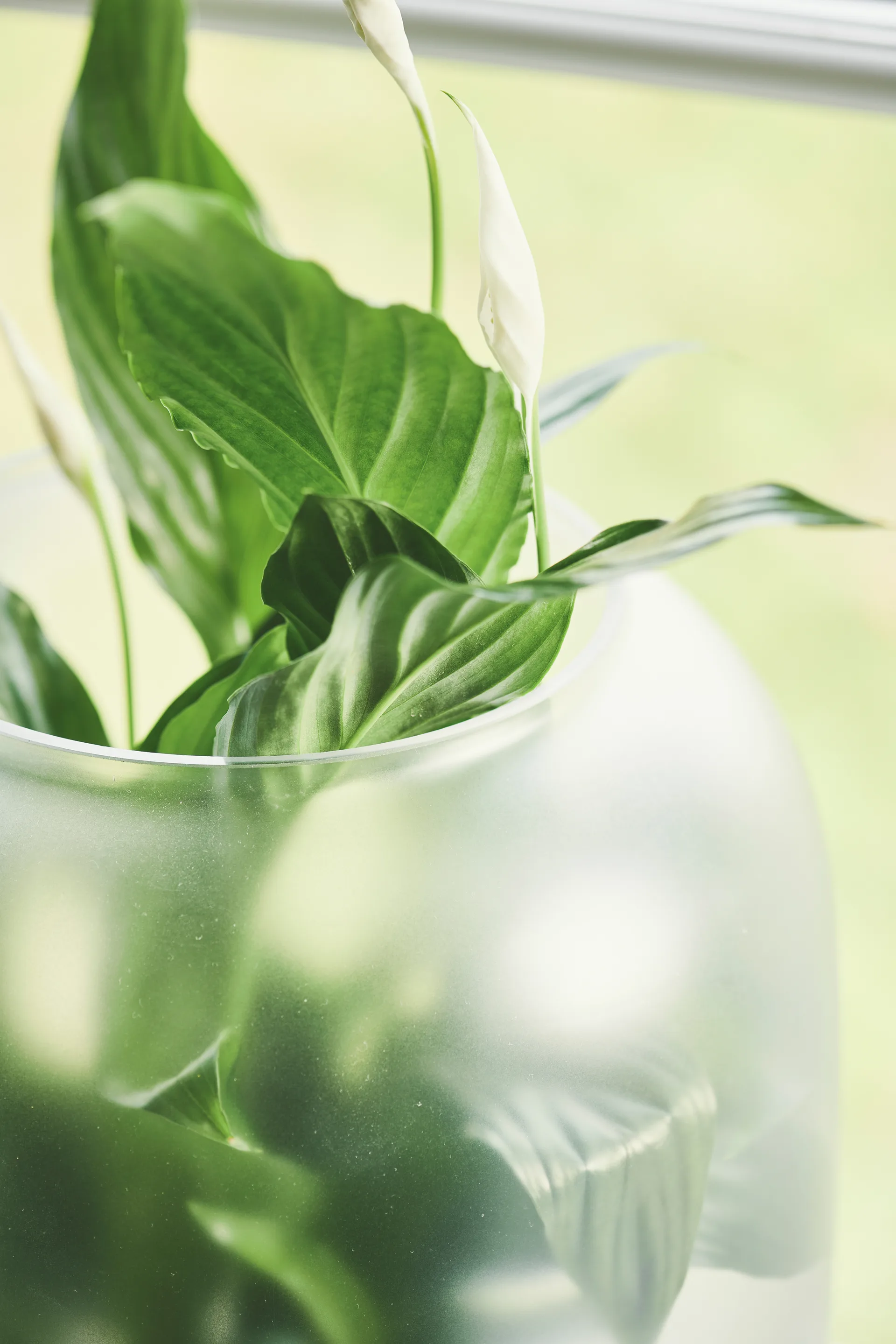 Γλάστρα, Nebl, με θαμπό γυαλί Ø26 εκ, Γκρι Gejst