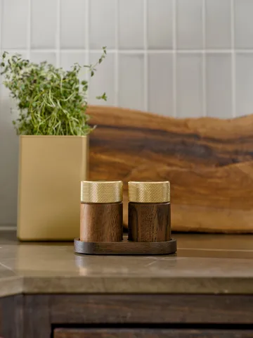 Sina μύλος αλατιού και πιπεριού 6 cm - Σκούρα φτελιά-ορείχαλκος - Gejst