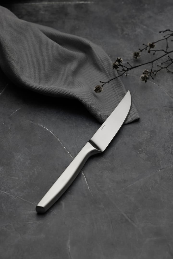 Μαχαίρια μπριζόλας, Norm, συσκευασία 4 τεμαχίων - Ματ ανοξείδωτο ατσάλι - Gense