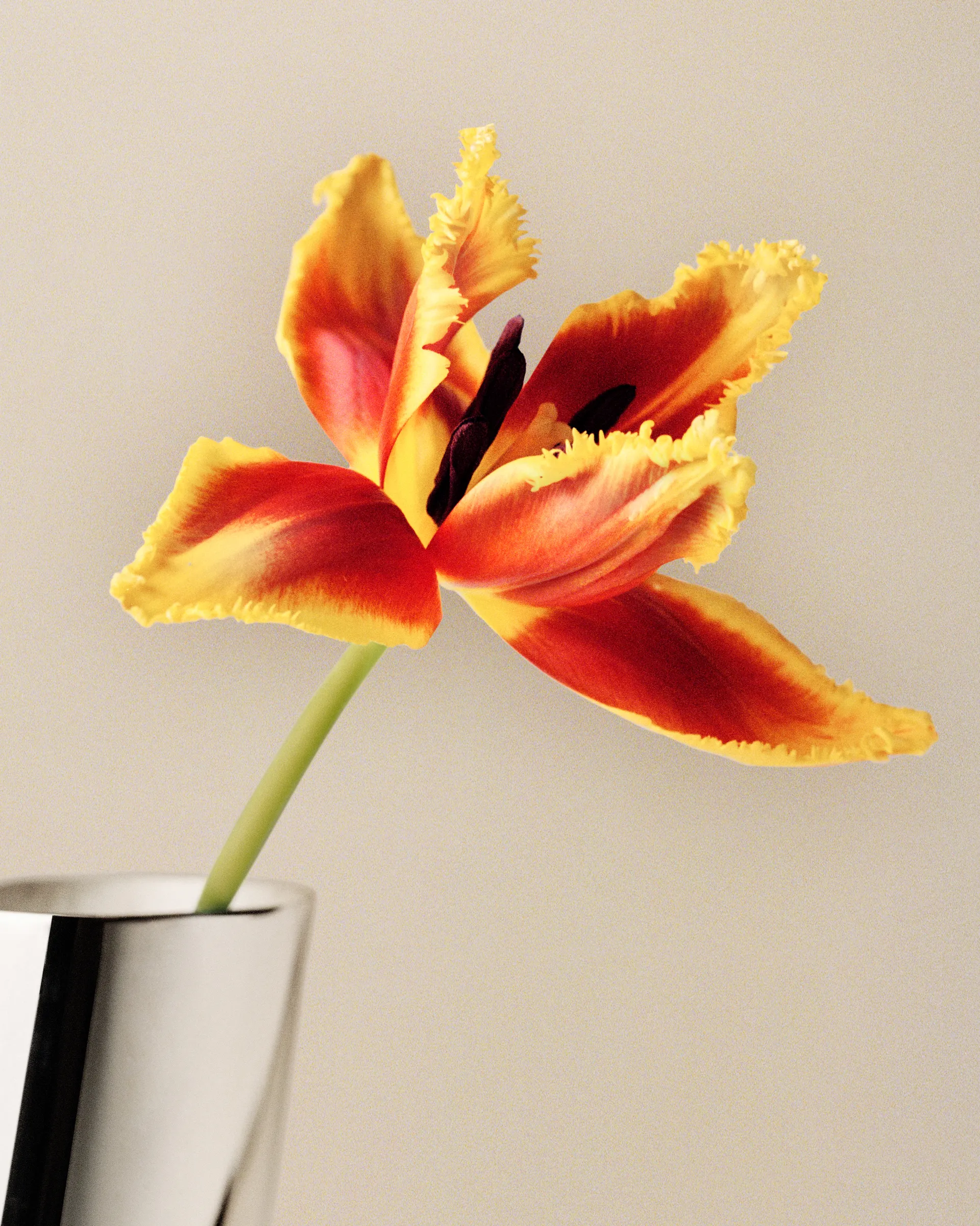 Βάζο Lituus μεγάλο 34,2 εκ., Ανοξείδωτο ατσάλι Georg Jensen