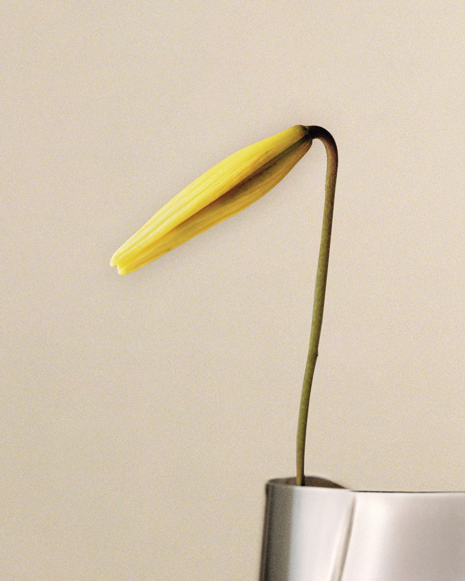 Βάζο Lituus μεγάλο 34,2 εκ., Ανοξείδωτο ατσάλι Georg Jensen