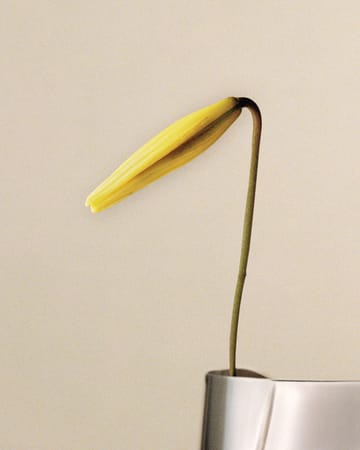 Βάζο Lituus μεγάλο 34,2 εκ. - Ανοξείδωτο ατσάλι - Georg Jensen