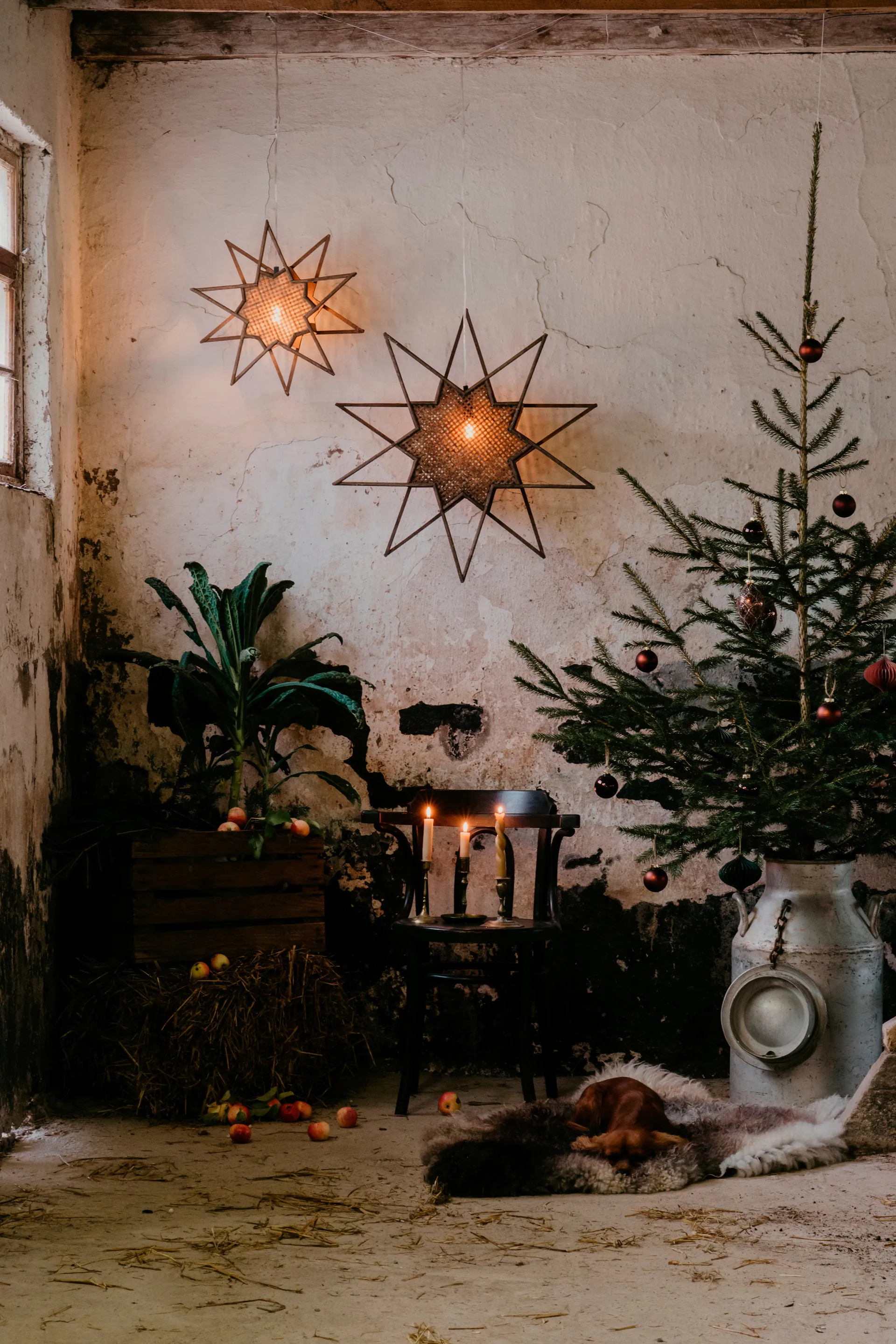 Karin αστέρι παραμονής Ø 70 cm, Καφέ Globen Lighting