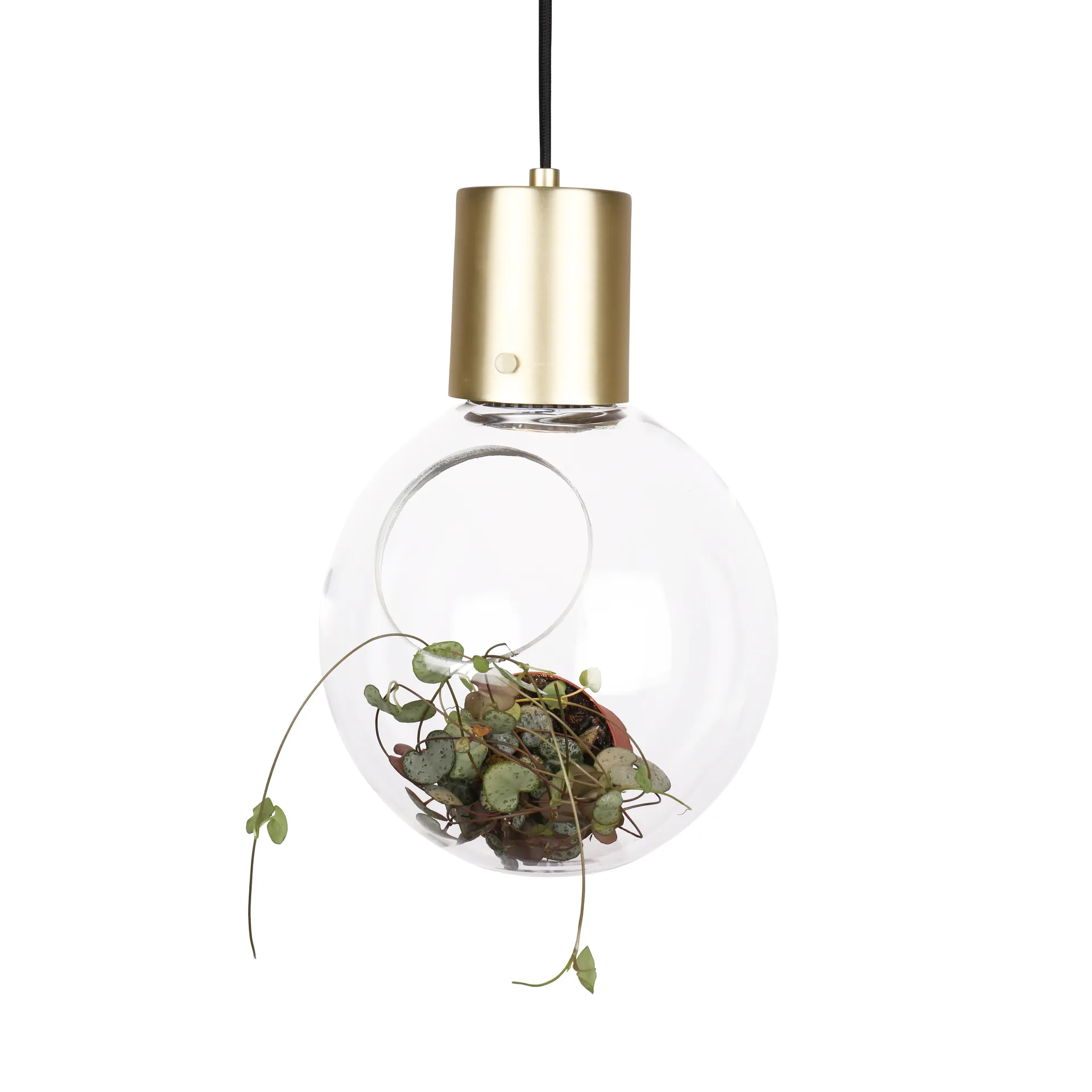 Mini Hole φωτιστικό οροφής, διαφανές-ορείχαλκος Globen Lighting