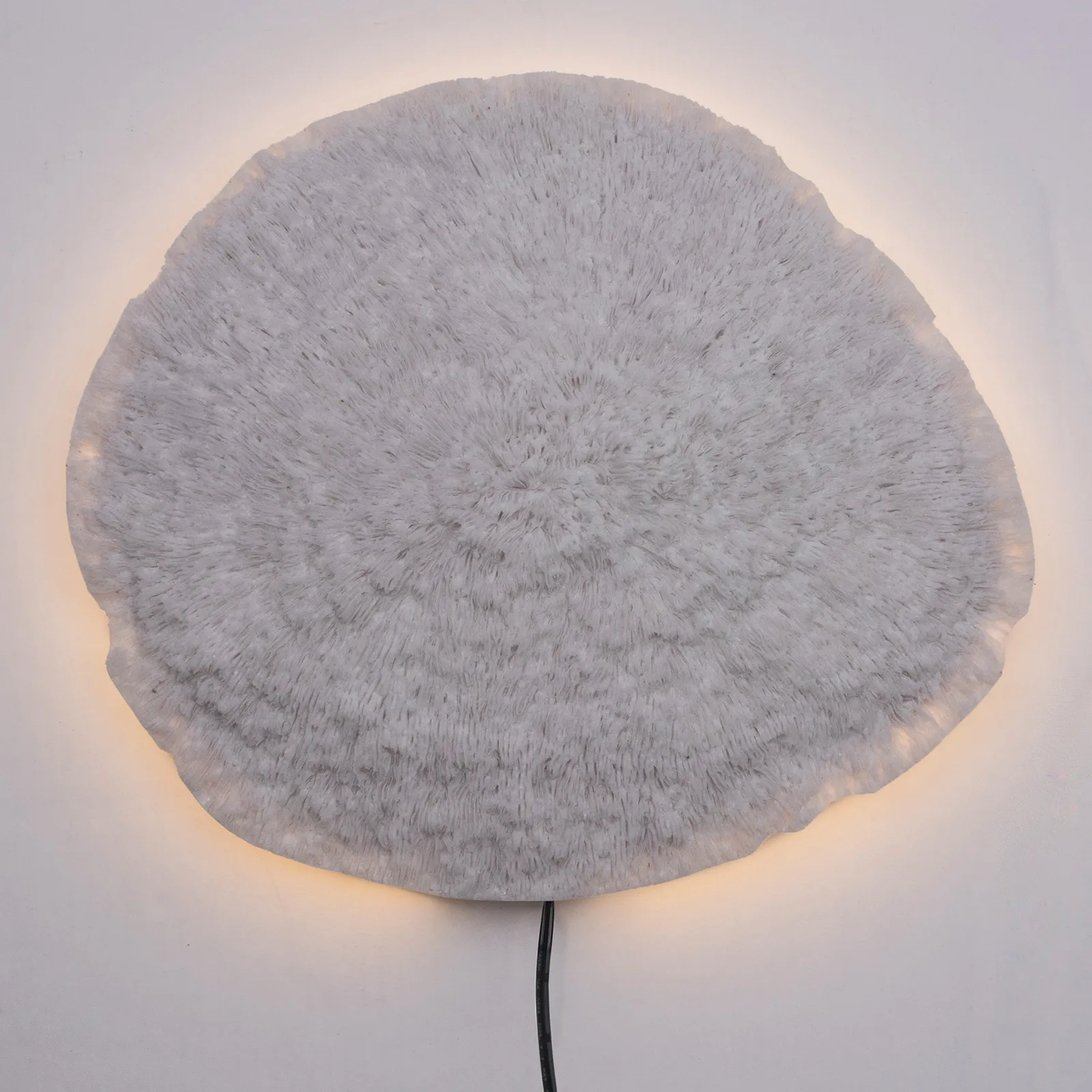 Nemo φωτιστικό τοίχου λευκό, 36 cm Globen Lighting