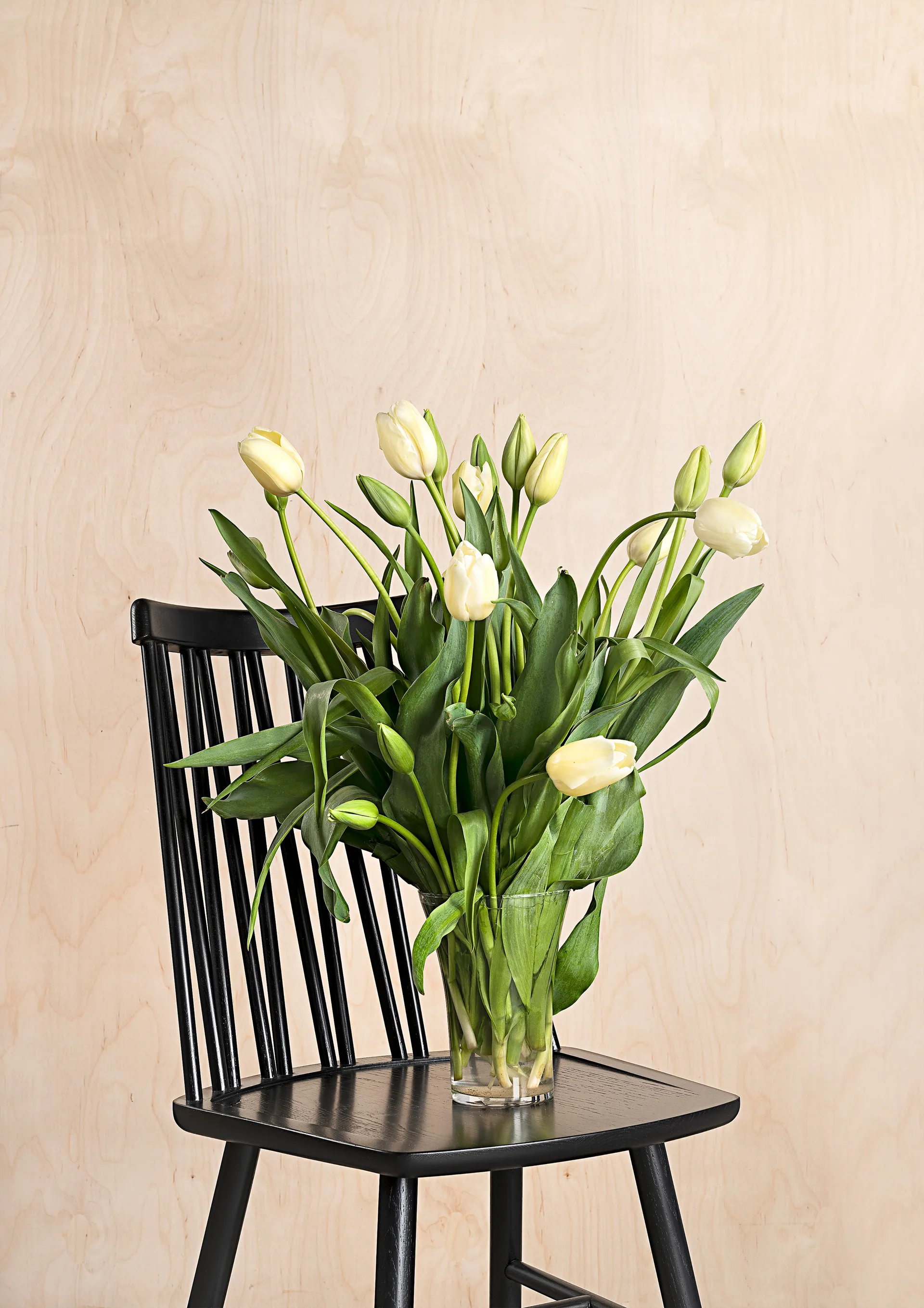 Καρέκλα, ZigZag, Φλαμουριά χρωματισμένη μαύρη Hans K