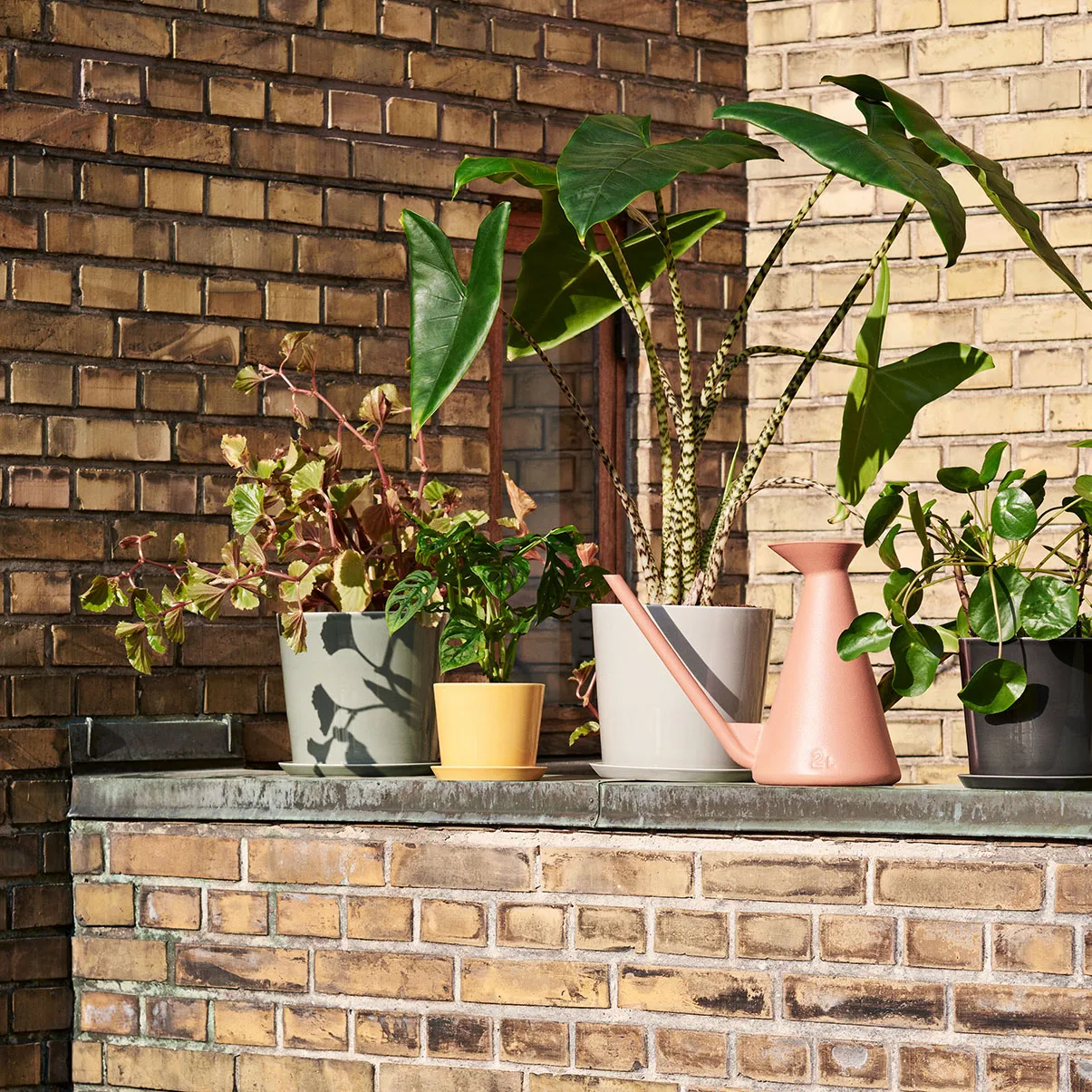 Ποτιστήρι 2 l, τερακότα HAY