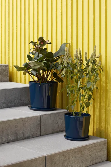 Botanical Family γλάστρα L Ø18 cm - Σκούρο μπλε - HAY