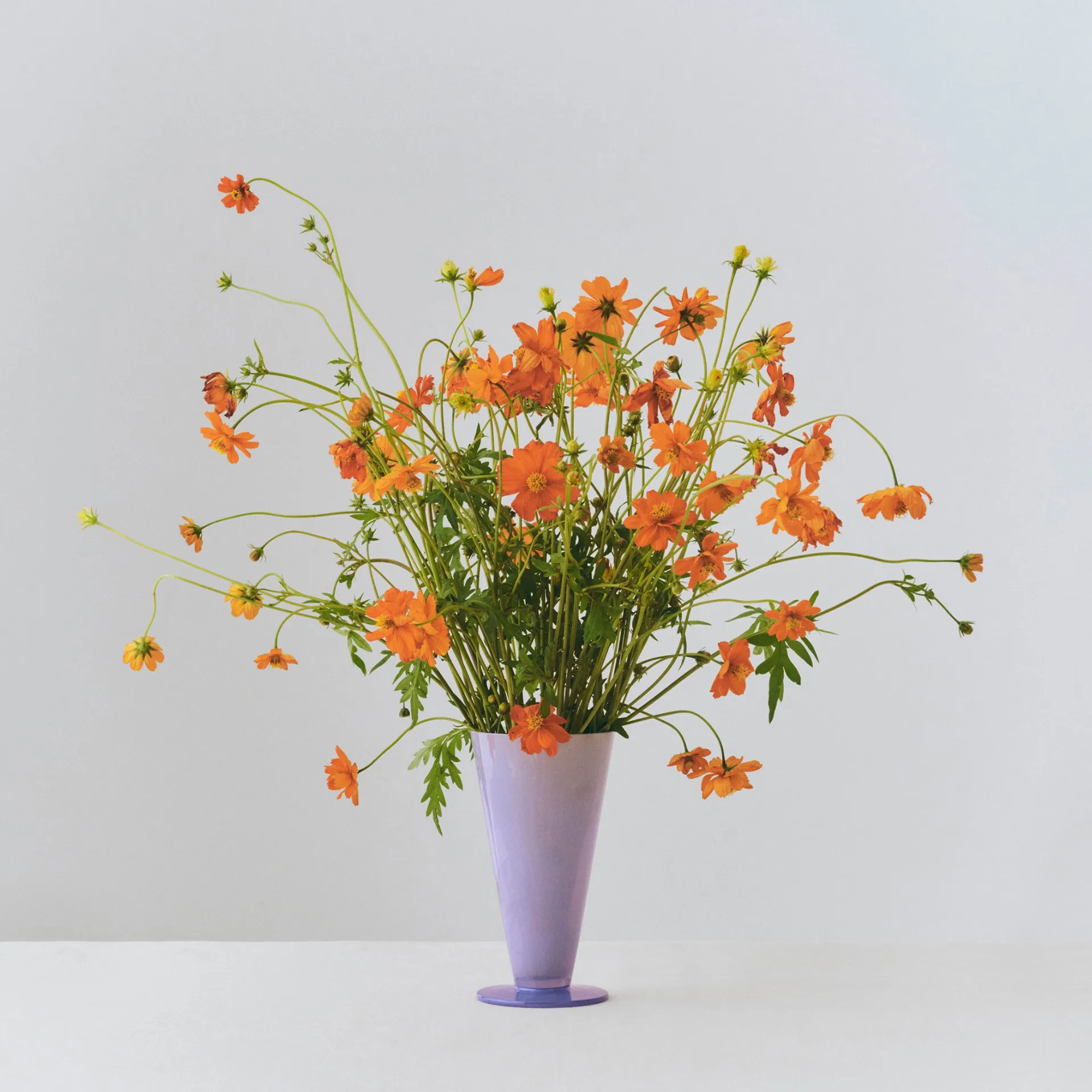 Conical βάζο, Light blue-lavender blue, small HAY