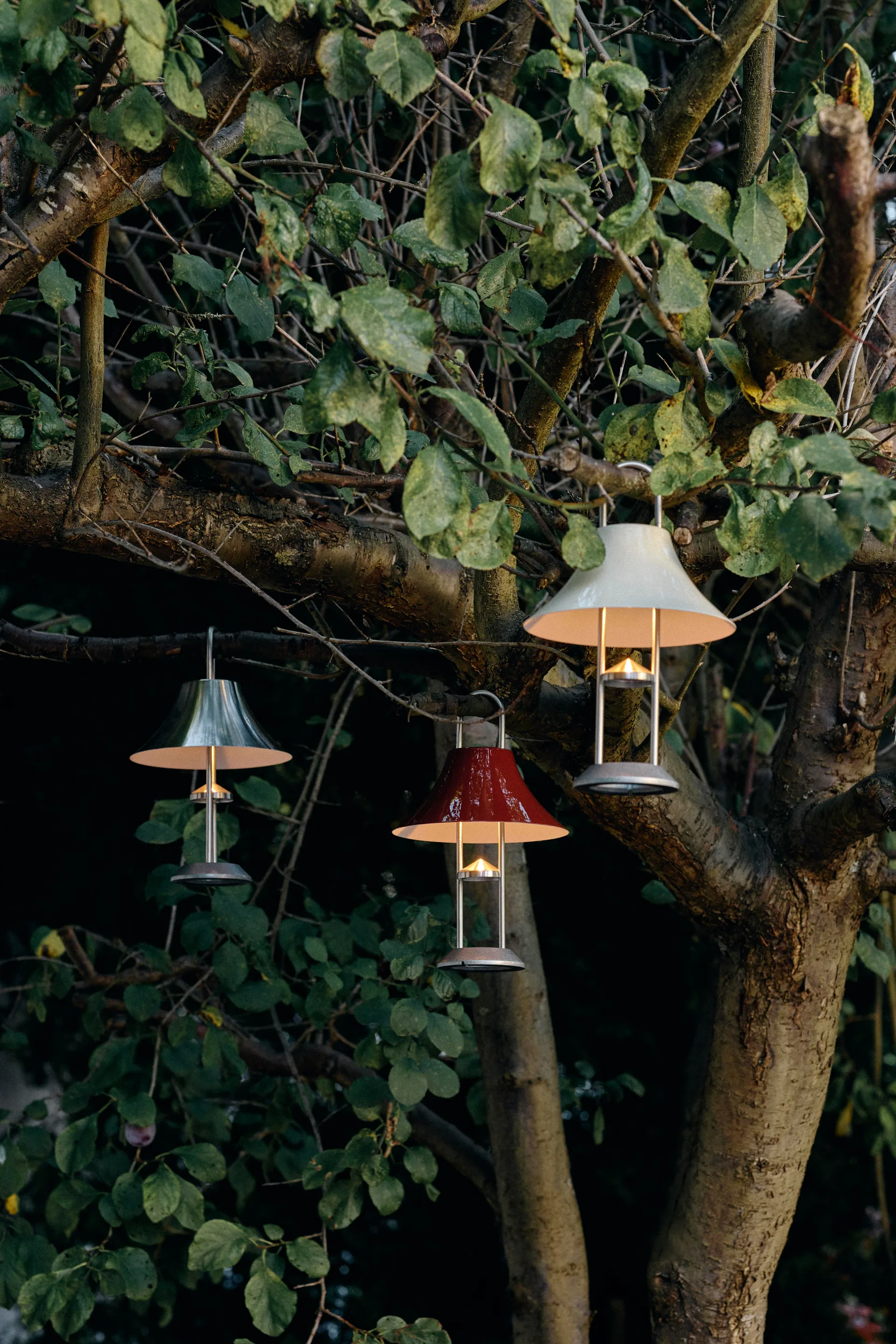 Φορητό επιτραπέζιο φωτιστικό Mousqueton 30,5 cm, Brushed stainless steel HAY