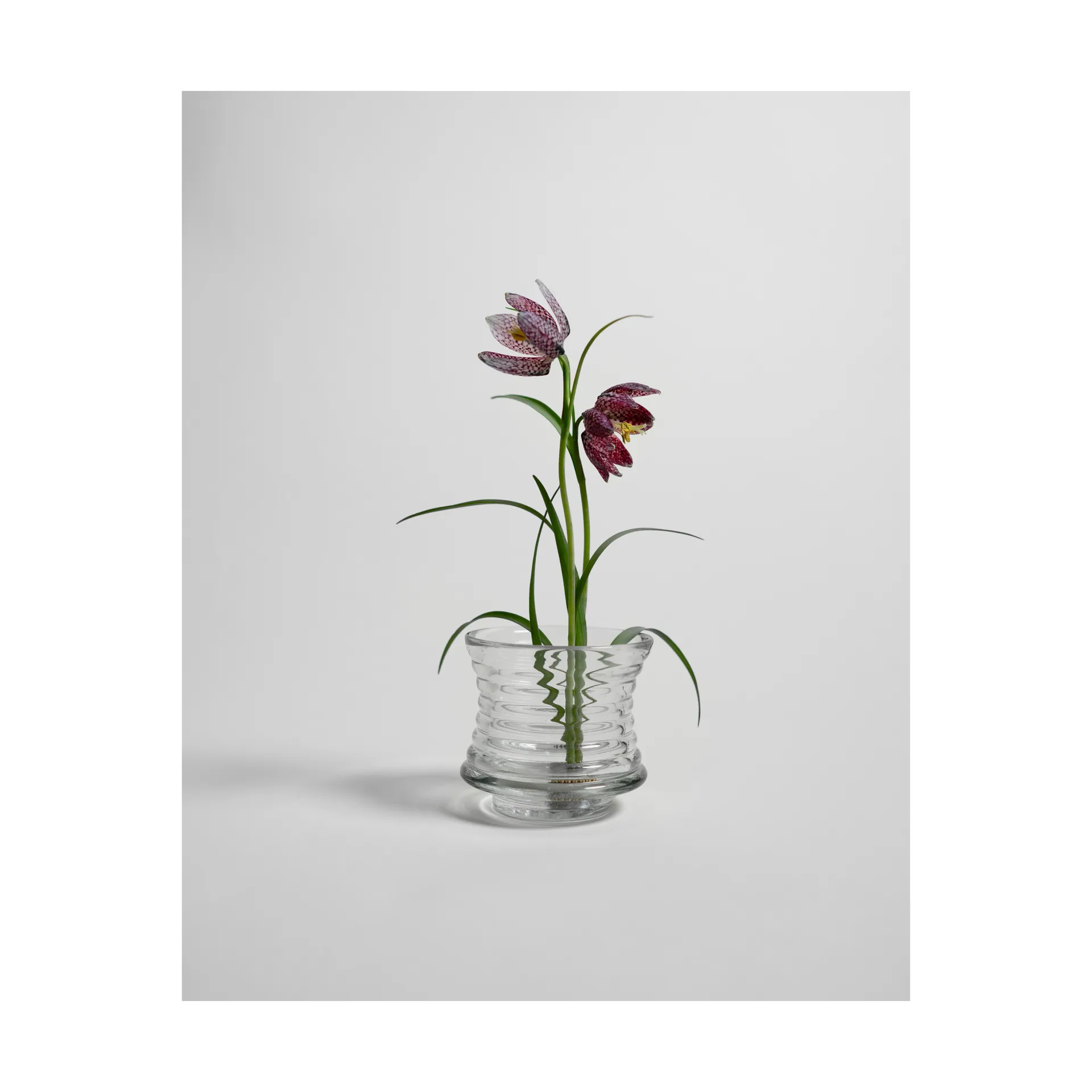 Kenzan βάζο, Ø6 εκ. Hein Studio