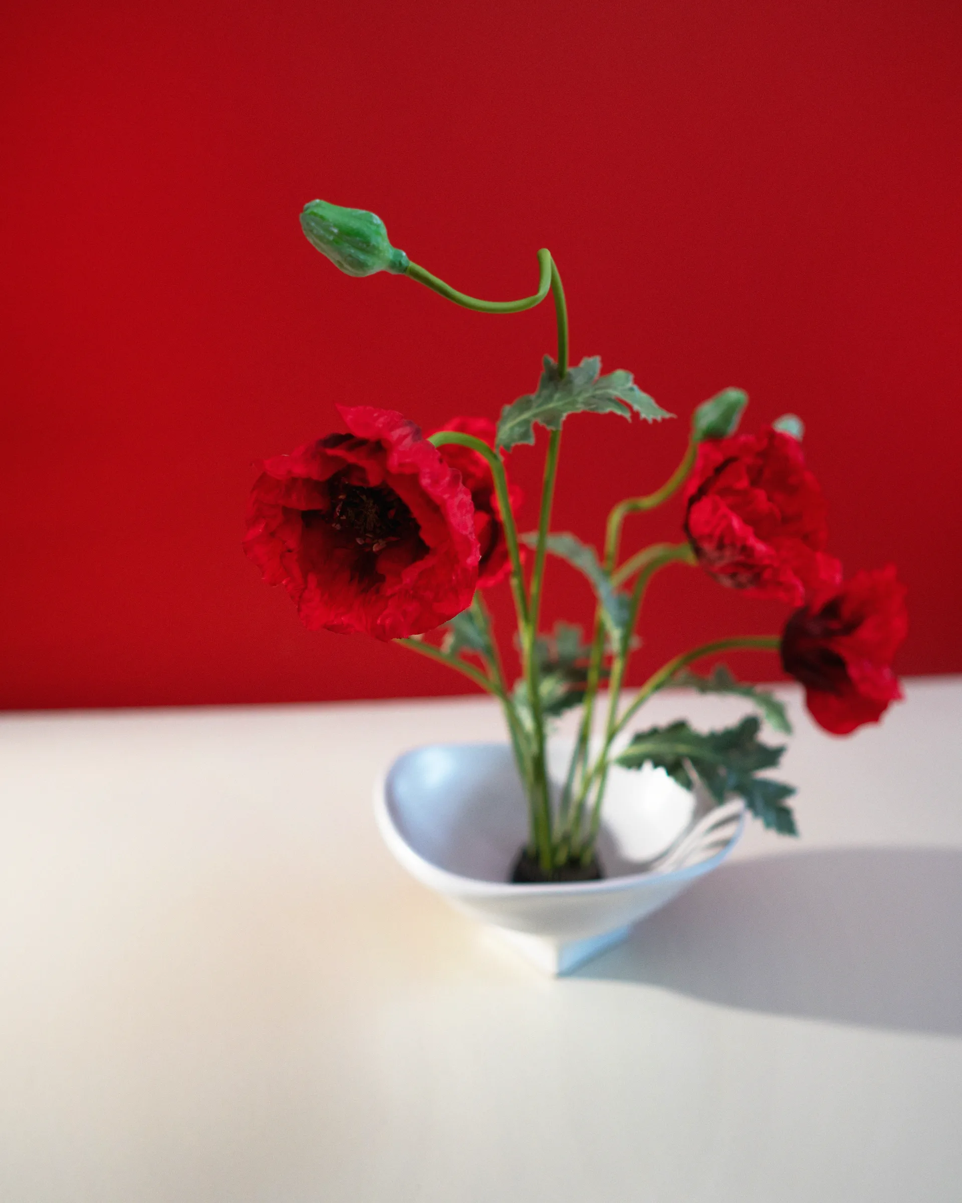 Μπολ Nami large 20x23 cm, White Hein Studio