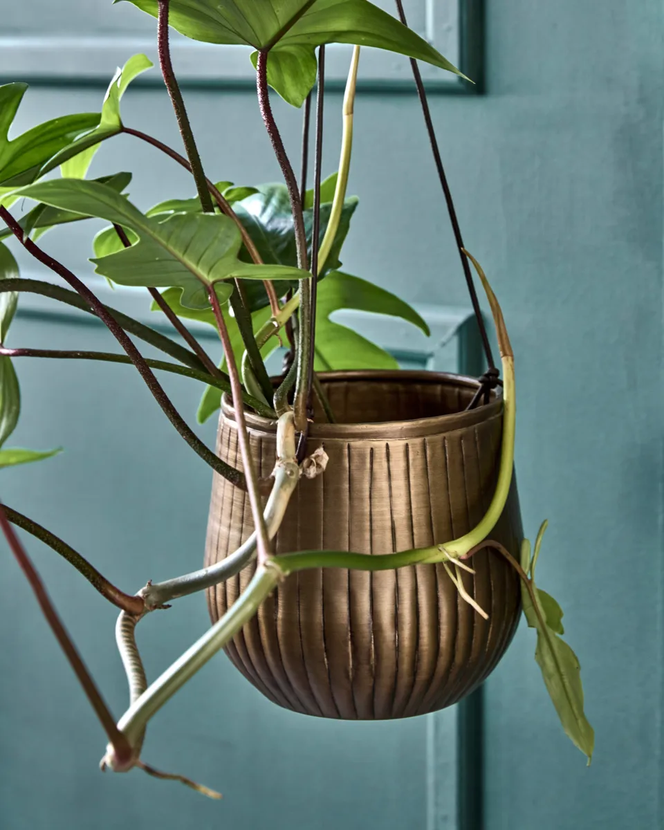 Σετ κρεμαστά γλαστράκια 2 τεμάχια, Χρυσό House Doctor