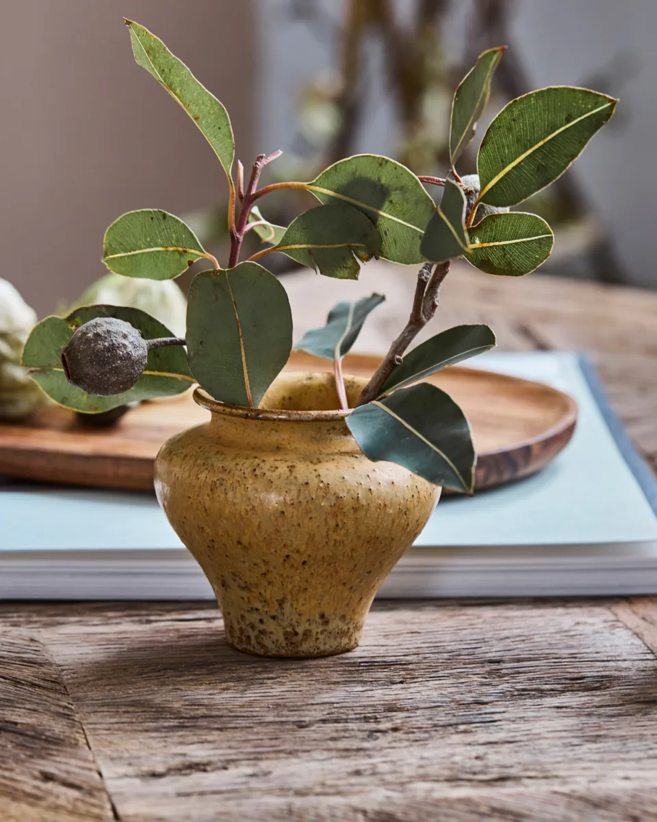 Kolo διάμετρος, Μουσταρδί, 8,5 cm House Doctor