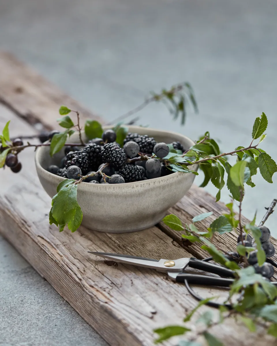 More schaal Ø16 εκ., Γκρι House Doctor