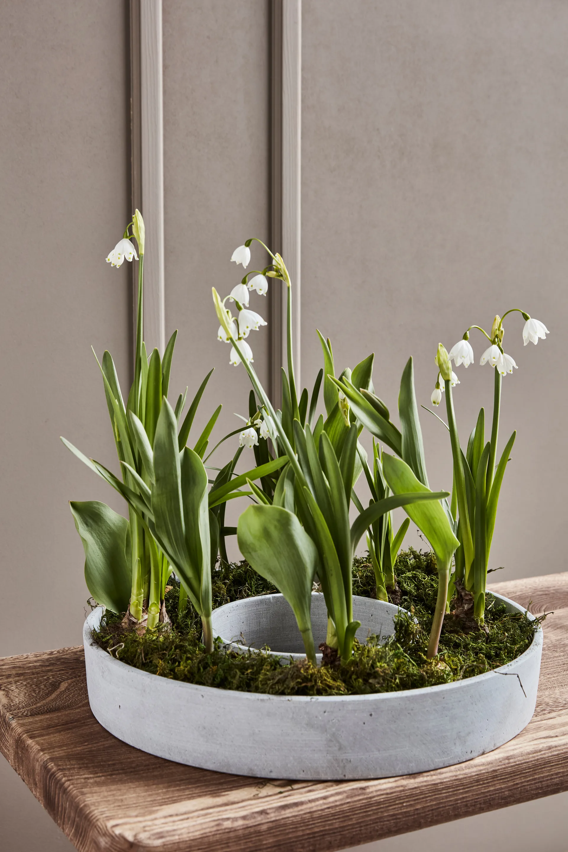 The Ring βάση κεριών, Concrete House Doctor