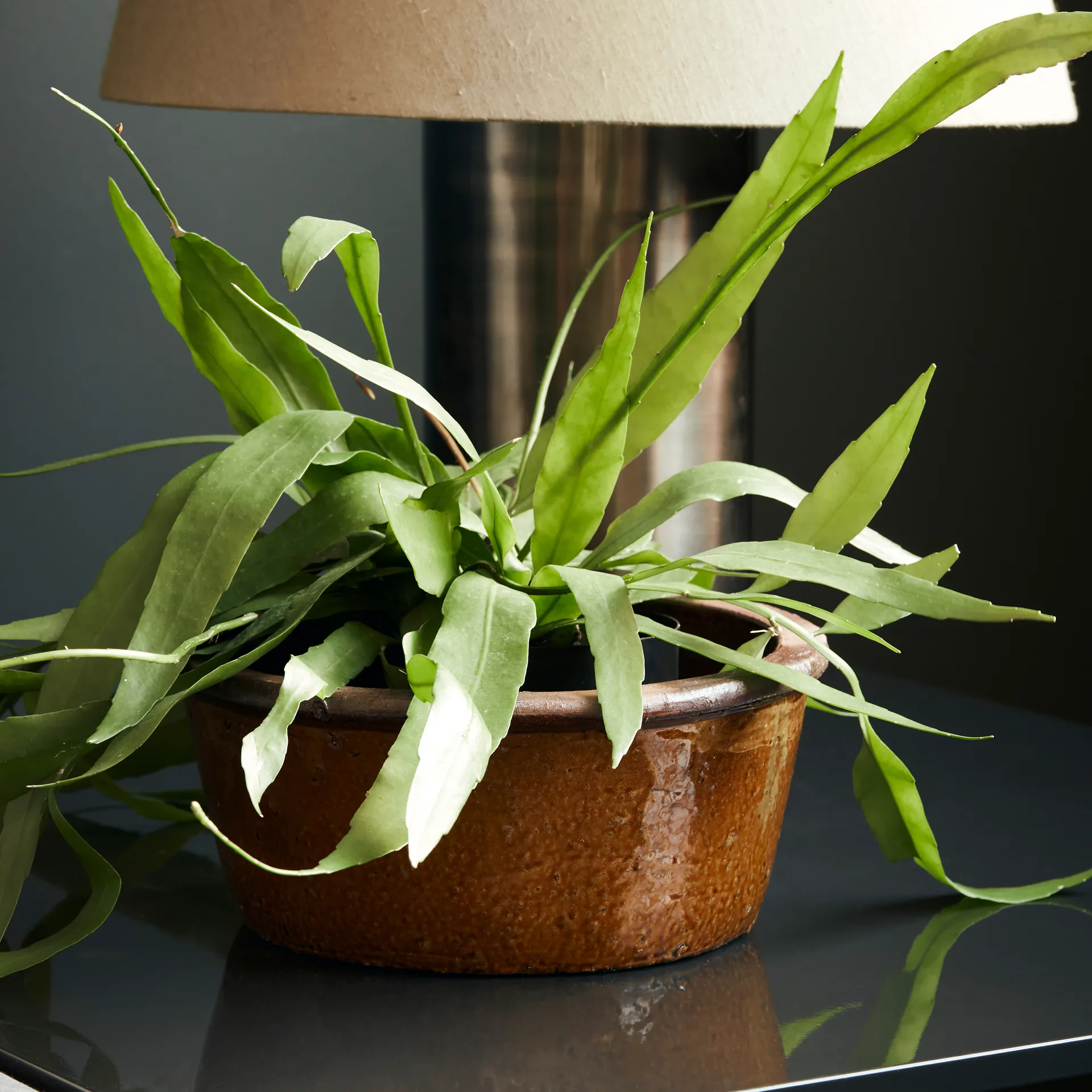 Whai γλάστρα Ø30 cm, κίτρινο μουσταρδί House Doctor