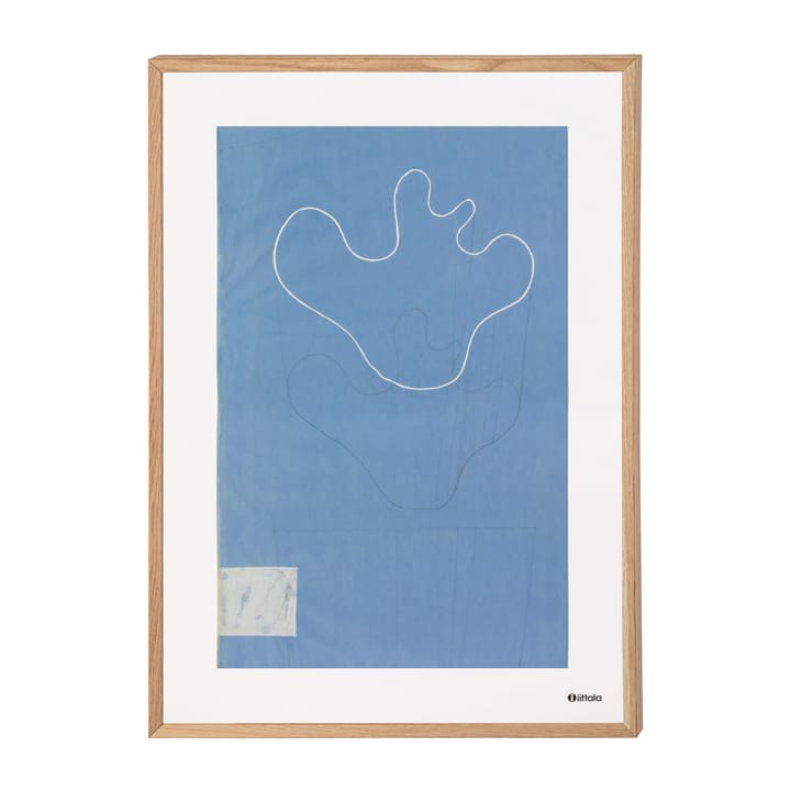 Aalto art Sketch μπλε αφίσα - 50x70 cm - Iittala