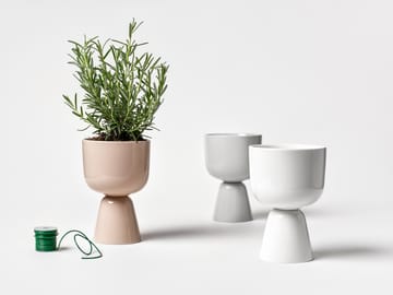 Nappula γλάστρα 125x190 mm - Ανοιχτό γκρι - Iittala