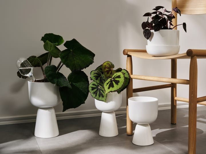 Nappula γλάστρα με πιατάκι 130x170 mm, Λευκό Iittala