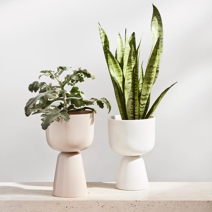 Nappula γλάστρα 155x260 mm, μπεζ Iittala