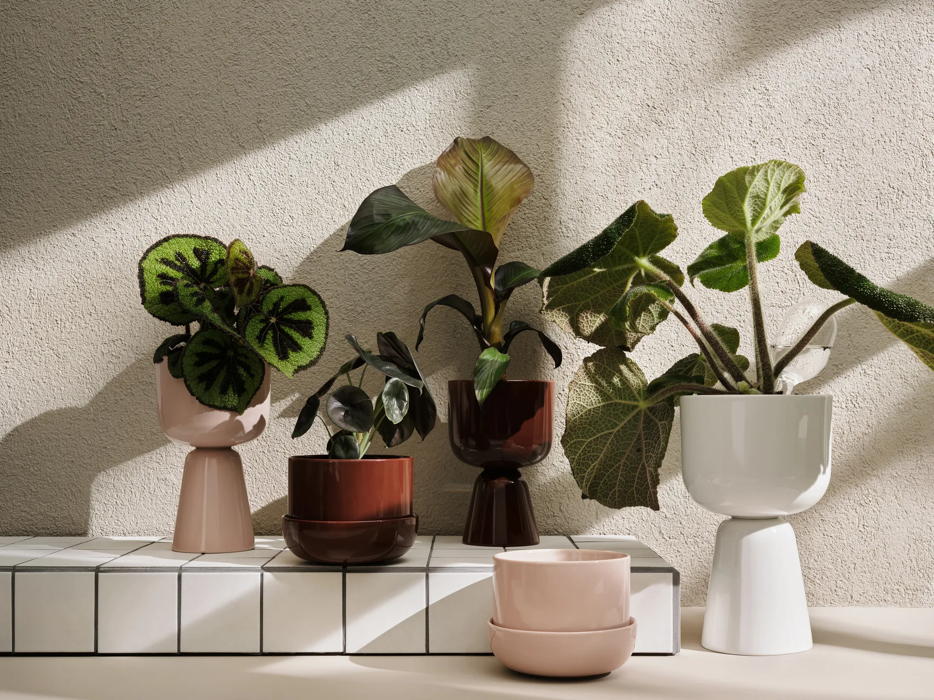 Nappula γλάστρα 190x320 mm, Λευκό Iittala