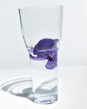 Solare βάζο ψηλό Ø12x26 εκ. - Διάφανο - Iittala