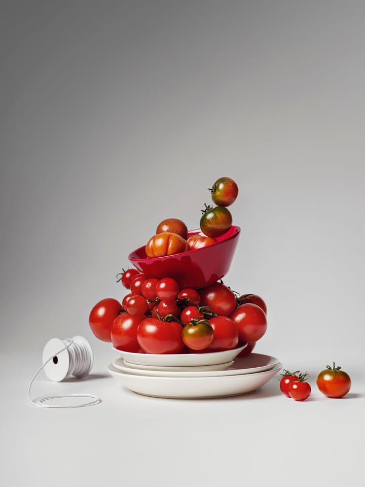 Teema σετ ορεκτικού, 16 τμχ. Iittala