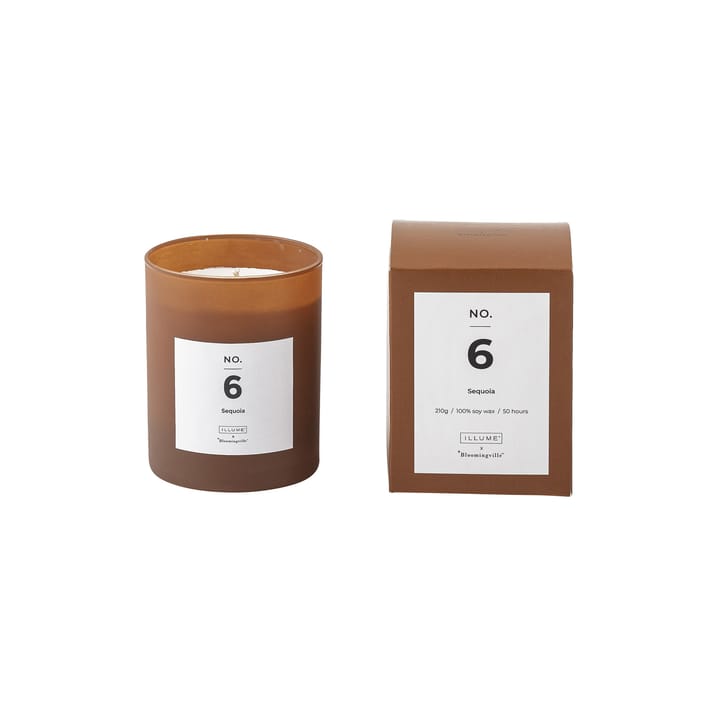 NO. 6 Sequoia αρωματικό κερί - 200 g + Κουτί δώρου - Illume x Bloomingville