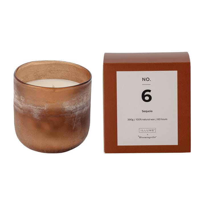 NO. 6 Sequoia αρωματικό κερί - 390 g + Κουτί δώρου - Illume x Bloomingville