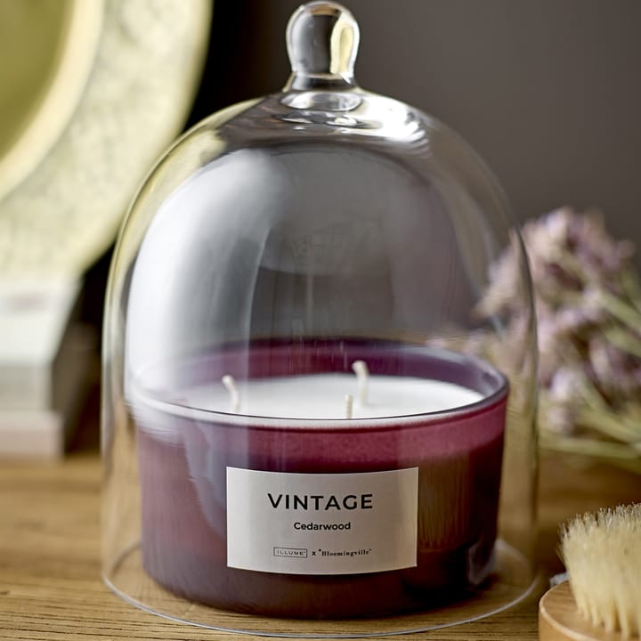 Vintage Cedarwood αρωματικό κερί, 250 g Illume x Bloomingville