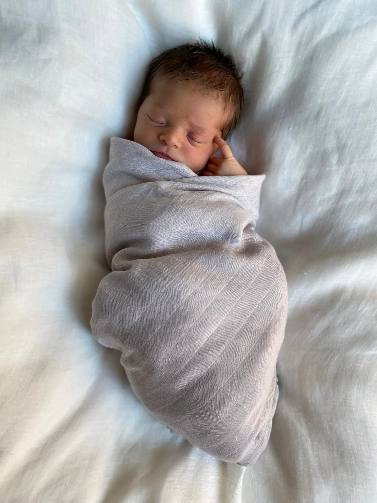 Μουσελίνα Pom Pom 120x120 cm 2-pack, Pearl & Dusty gray Jack o Juno