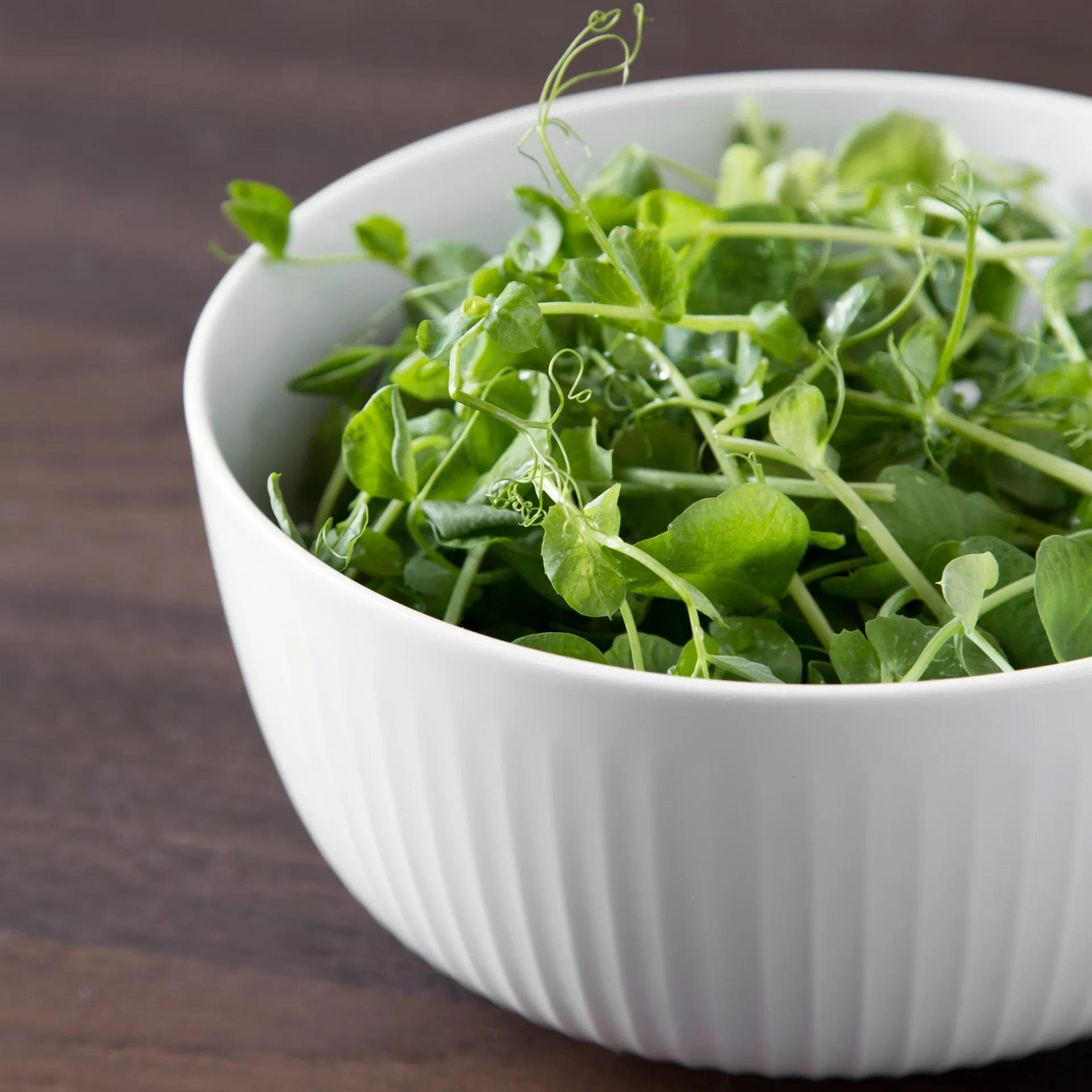 Hammershøi μπολ Ø21 cm, λευκό Kähler