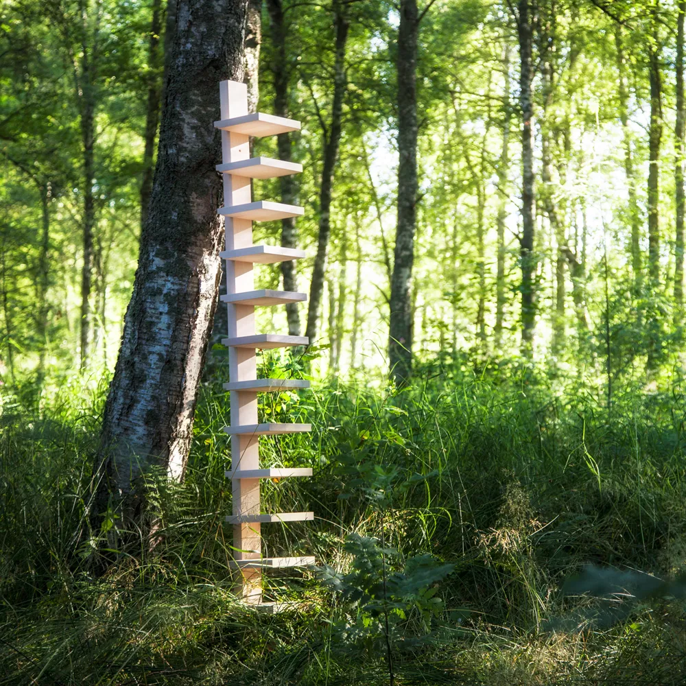 Pilaster ραφιέρα τοίχου, Φυσικό λακαρισμένη σημύδα Källemo