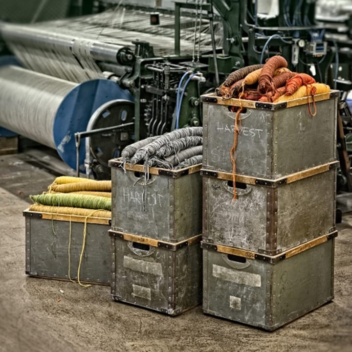 Χαλί, Harvest, Μπλε 240x170 εκ Kasthall