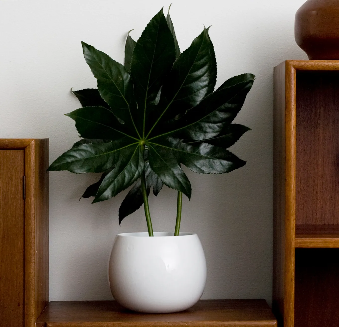 DROP μπολ Ø20.2 cm, White Kay Bojesen