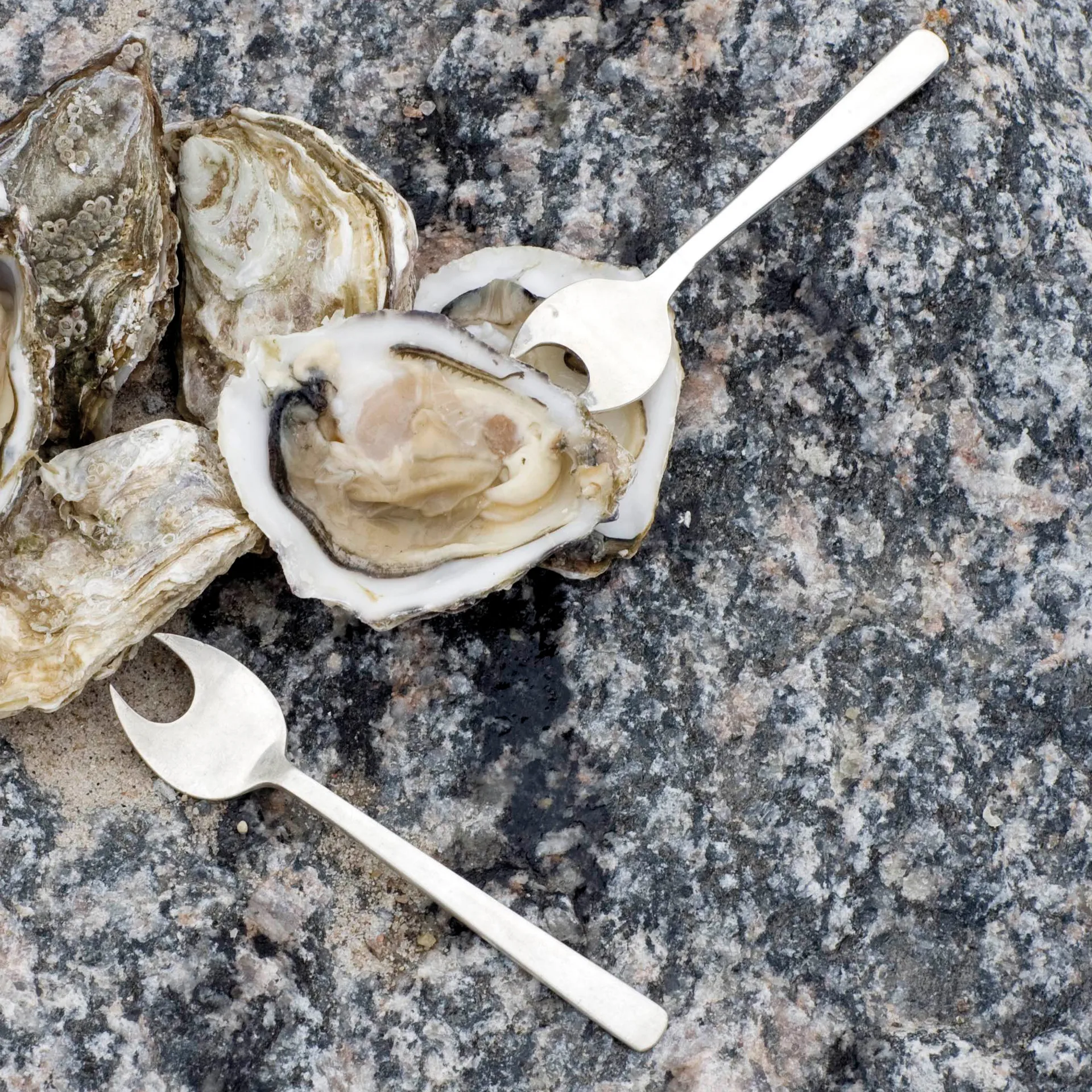 Σετ μαχαιροπίρουνα θαλασσινών Grand Prix 8 κομματιών, Γυαλισμένο ατσάλι Kay Bojesen