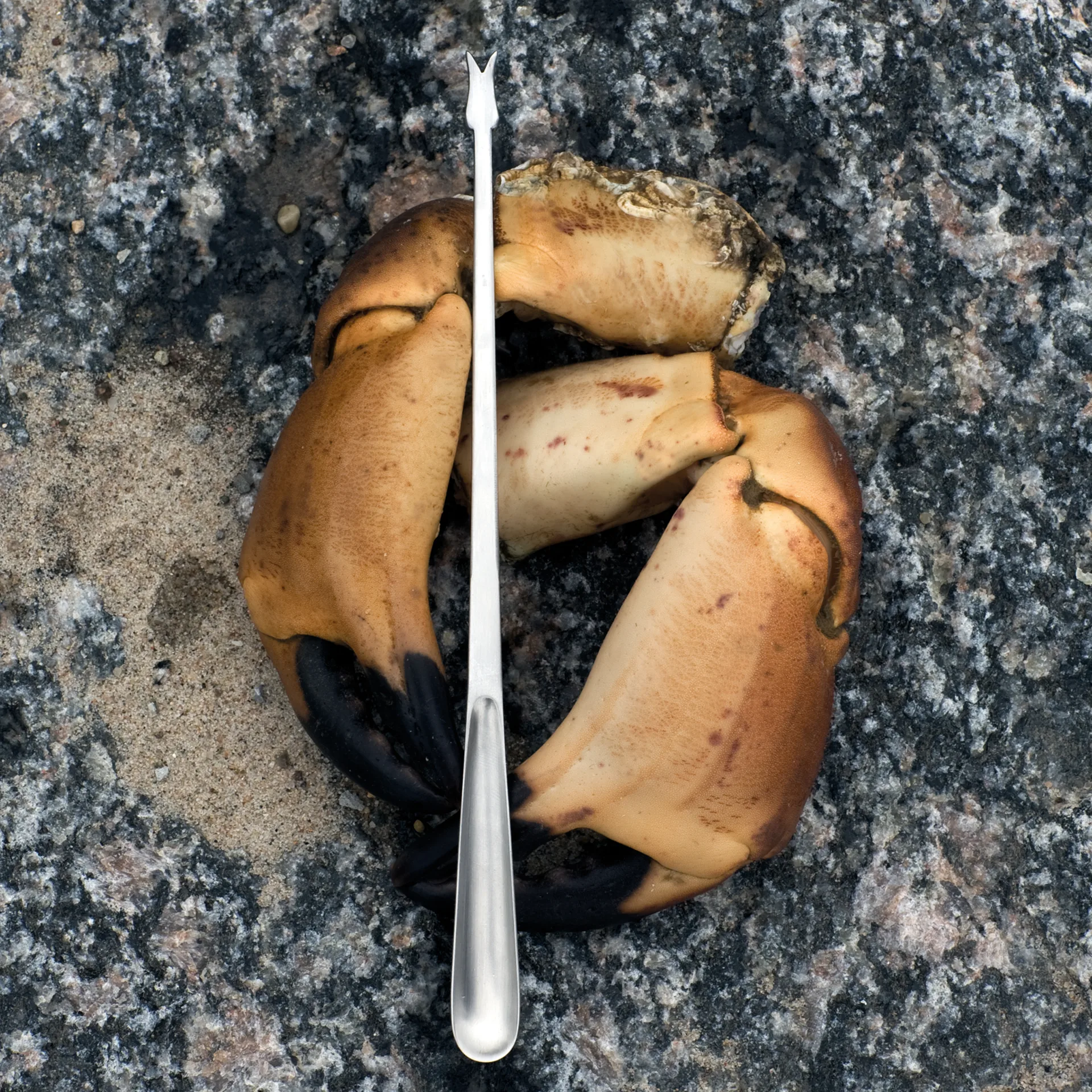 Σετ μαχαιροπίρουνα θαλασσινών Grand Prix 8 κομματιών, Γυαλισμένο ατσάλι Kay Bojesen