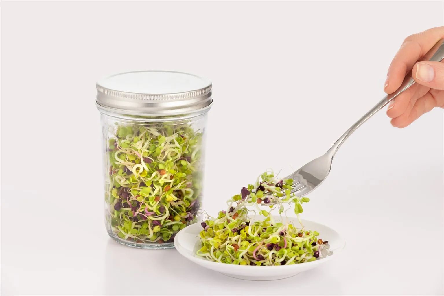 Σετ φύτρωσης Kilner, Διάφανο-λευκό, 500 ml Kilner