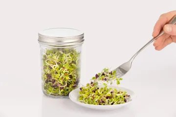 Σετ φύτρωσης Kilner - Διάφανο-λευκό, 500 ml - Kilner
