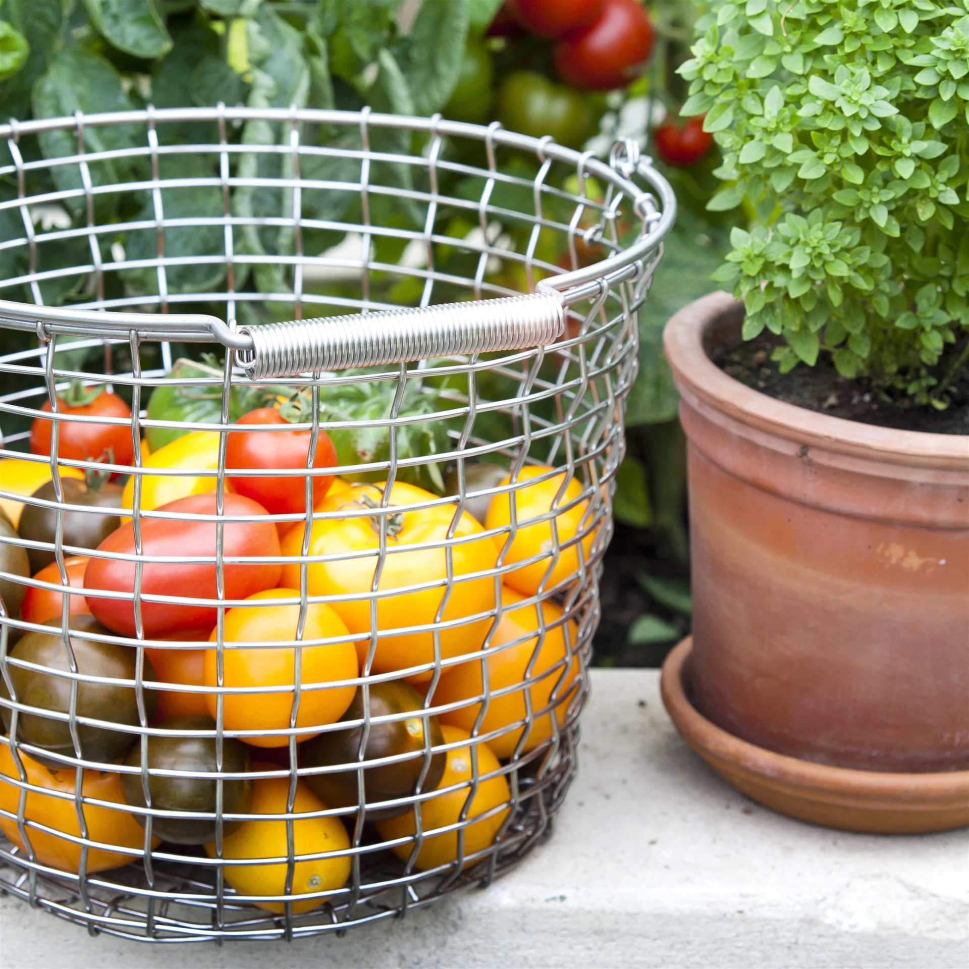 Korbo κουβάς 16, ανοξείδωτο ατσάλι KORBO