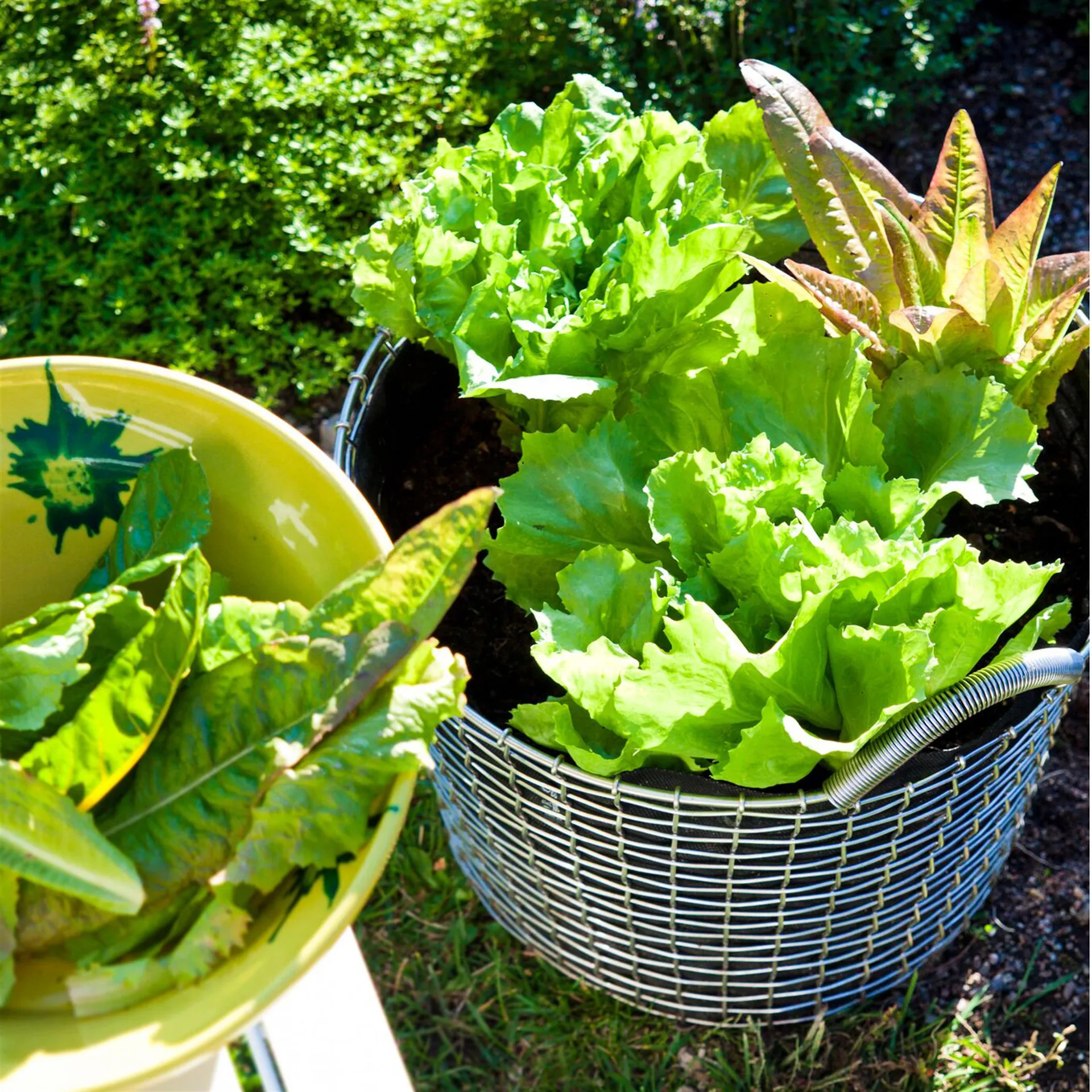 Korbo κάδος 24, γαλβανισμένο ατσάλι KORBO